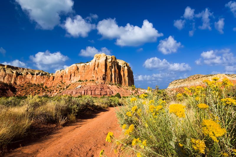 New Mexico Desert Calm