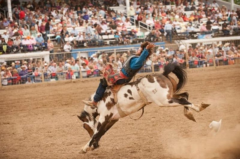 Montana - Miles City Bucking Horse Sale