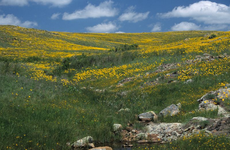 Oklahoma – Wichita Mountains Wildlife Refuge