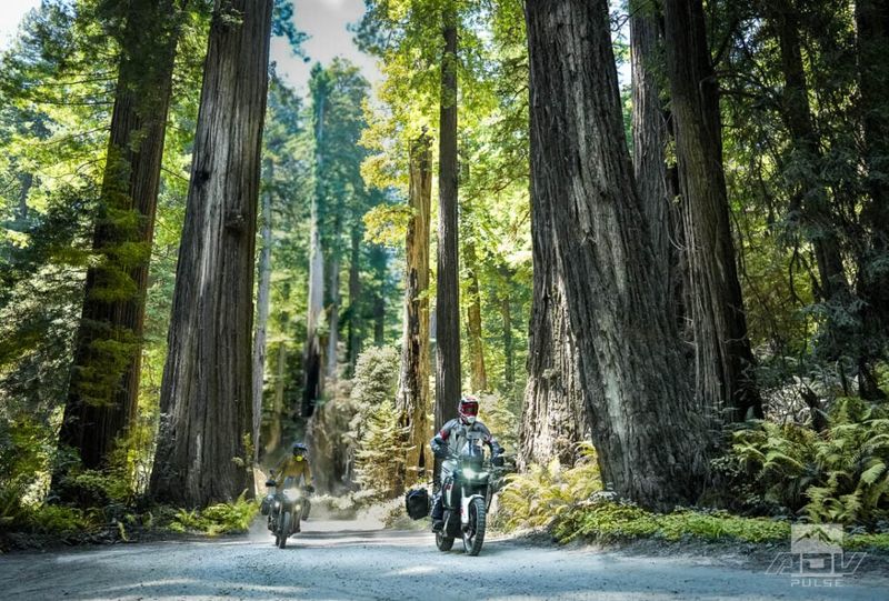 Highway 36, California