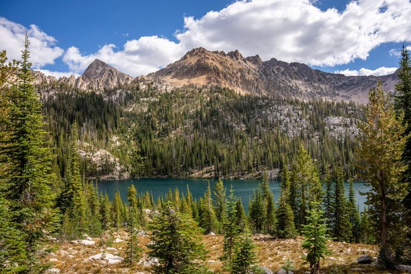 Idaho Wild Simplicity