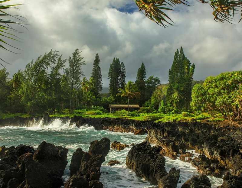 Hawaii's Tropical Paradise