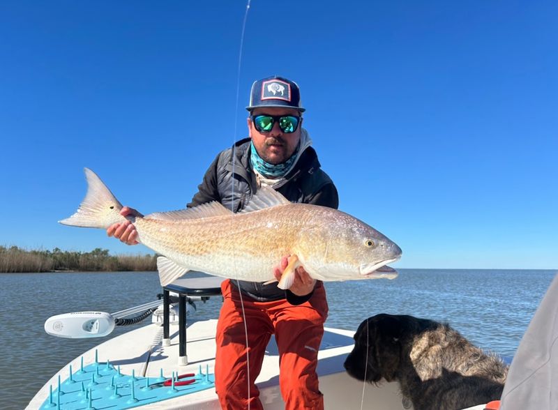 Venice, Louisiana