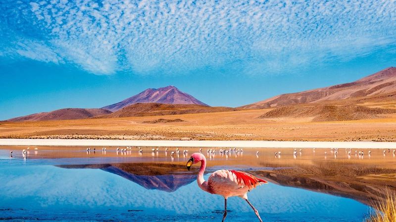 San Pedro De Atacama, Chile