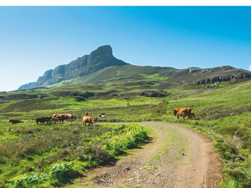Isle of Eigg Wilderness