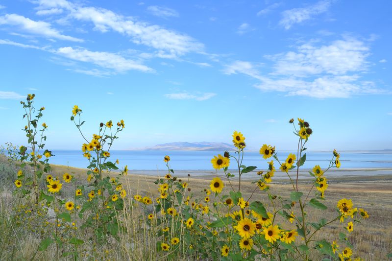 Antelope Island State Park