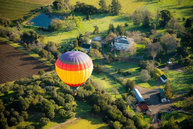 Vineyard Escape in Napa Valley