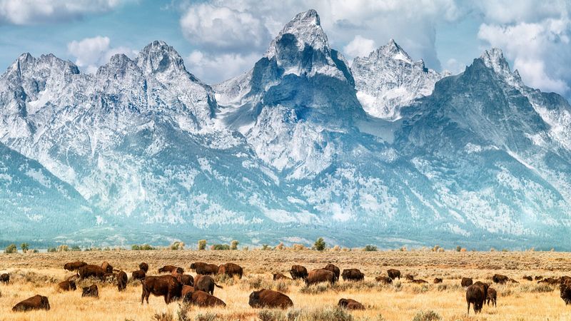 Jackson Hole on a Limited Budget - Wallet Drain