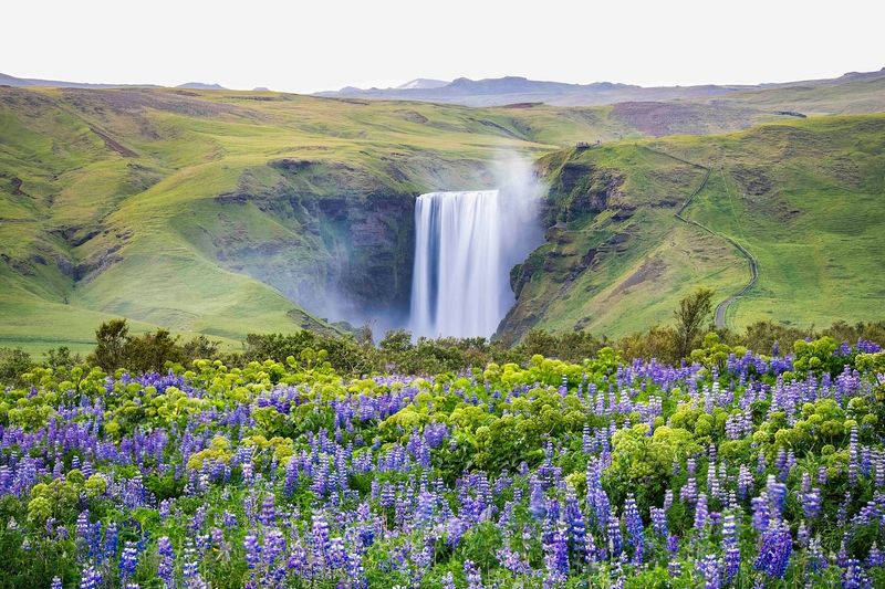 Iceland
