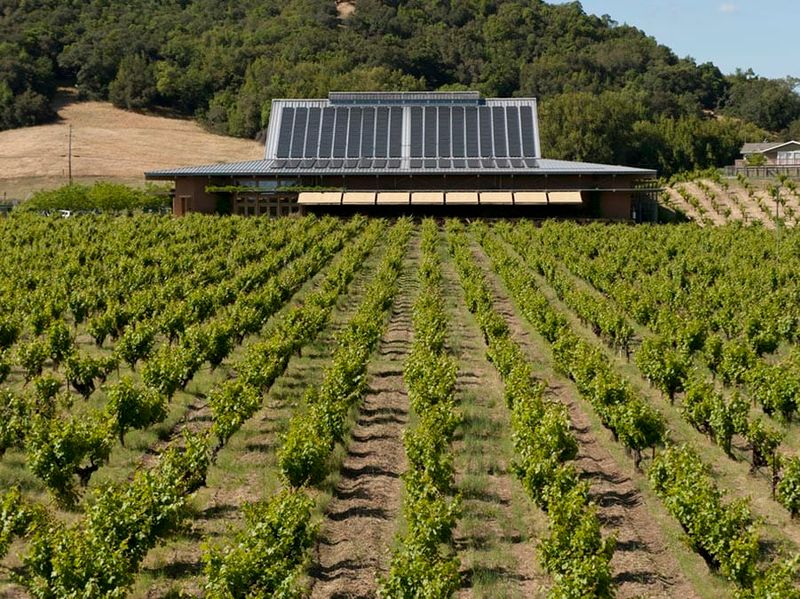 Sonoma Sustainable Wine Route