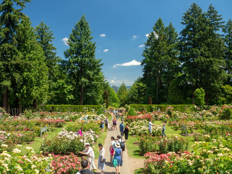 Portland, Oregon: Rose City in Bloom