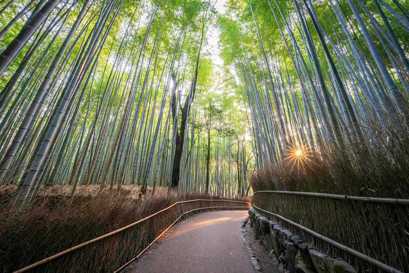 Kyoto, Japan: Living History