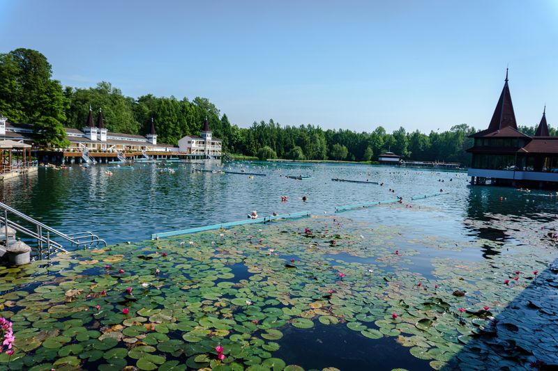 Thermal Springs: Lake Hévíz, Hungary