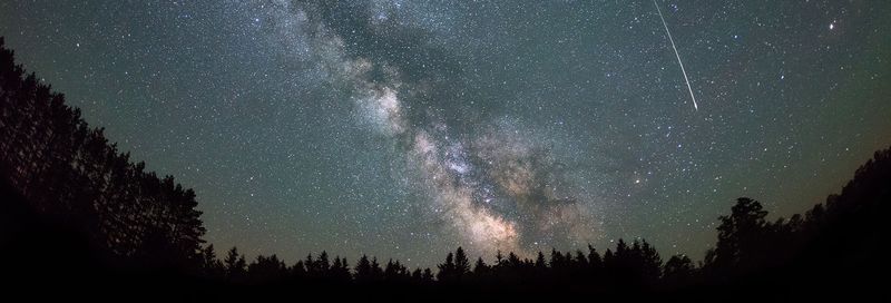 Starry Night Skies