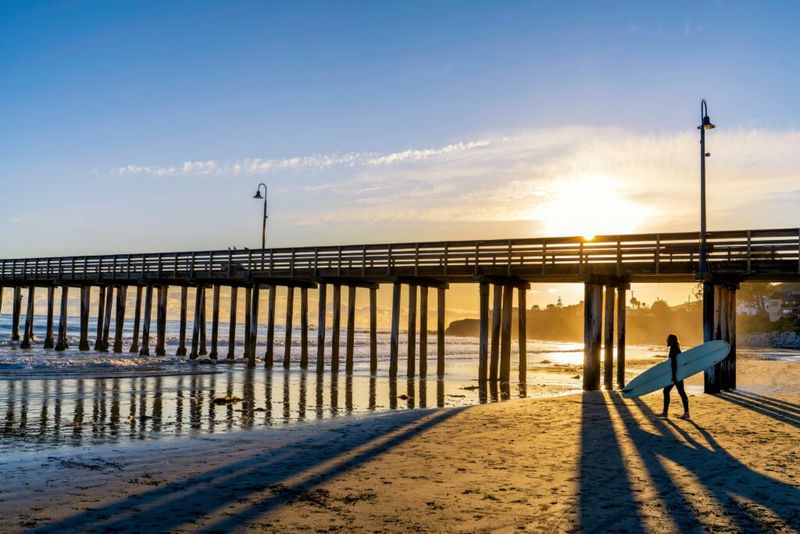 Cayucos State Beach, California