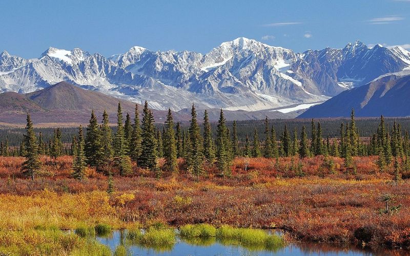 Alaska Wild and Free