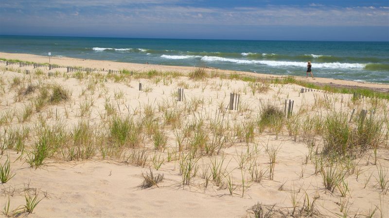 New York – Cooper’s Beach, Southampton