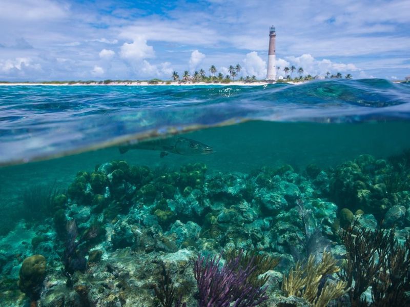 Biscayne: Underwater Wonders Hidden from Most Visitors