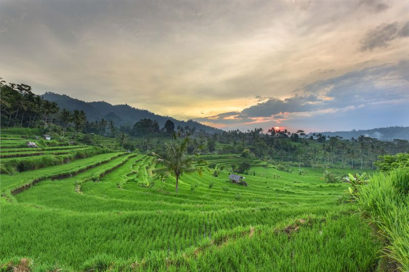 Bali: The Island Beyond The Beach Resorts