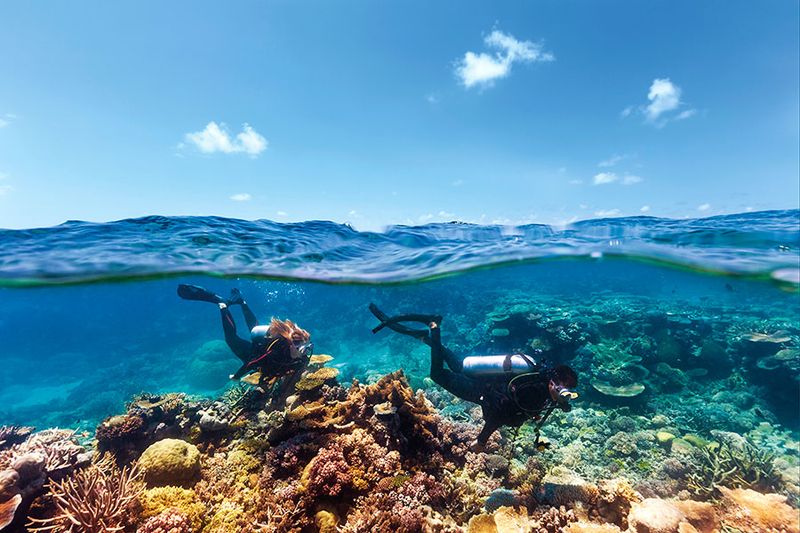 Great Barrier Reef, Australia: The Living Wonder Beneath the Waves