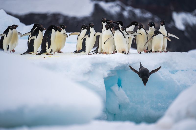 Antarctica