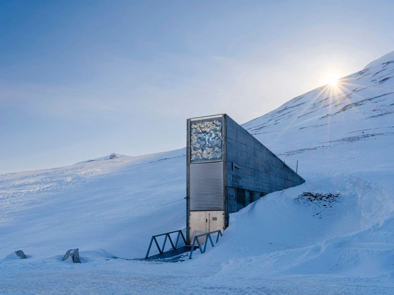 Svalbard Arctic Protection