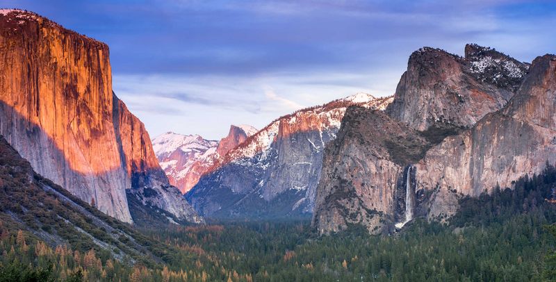 Yosemite National Park: Valley of Giants