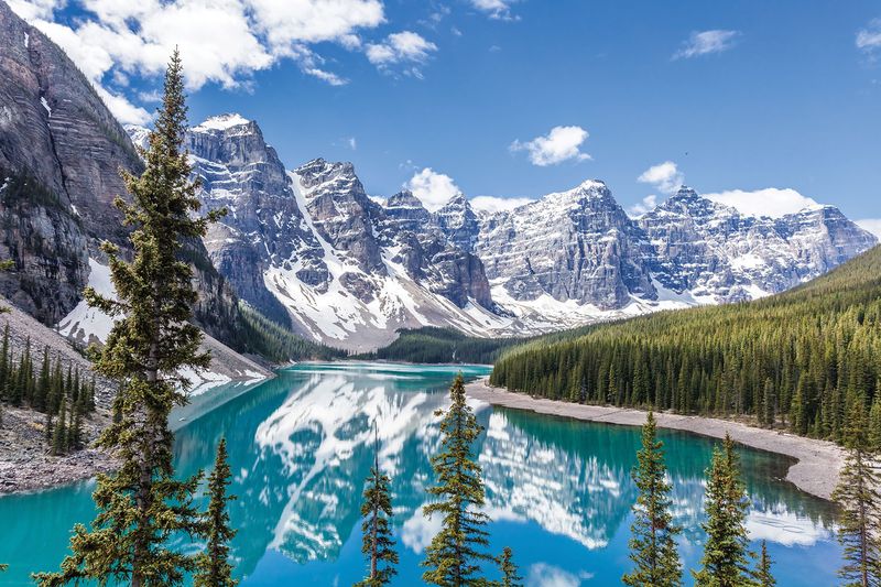 Canada Friendly Neighbor (Safer Alternative)