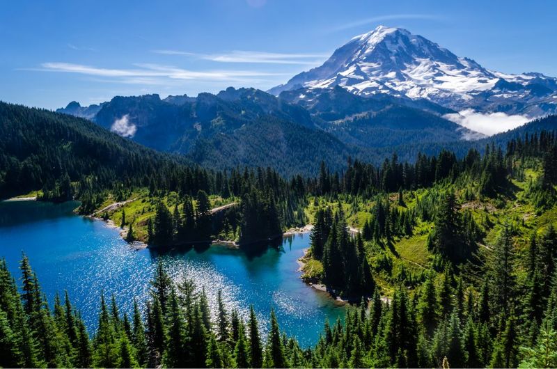 Washington's Natural Diversity