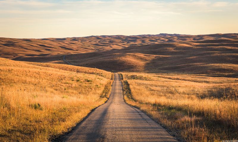 Nebraska: Empty Feels (Total Flop)