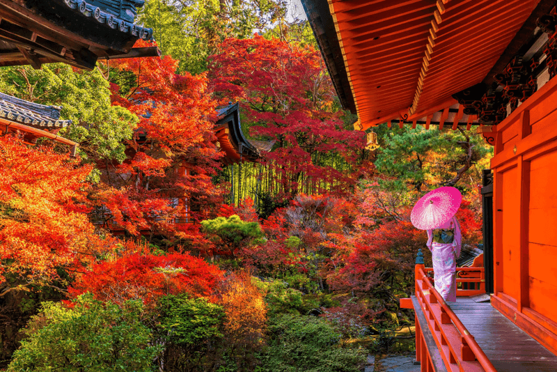 Kyoto in the Fall