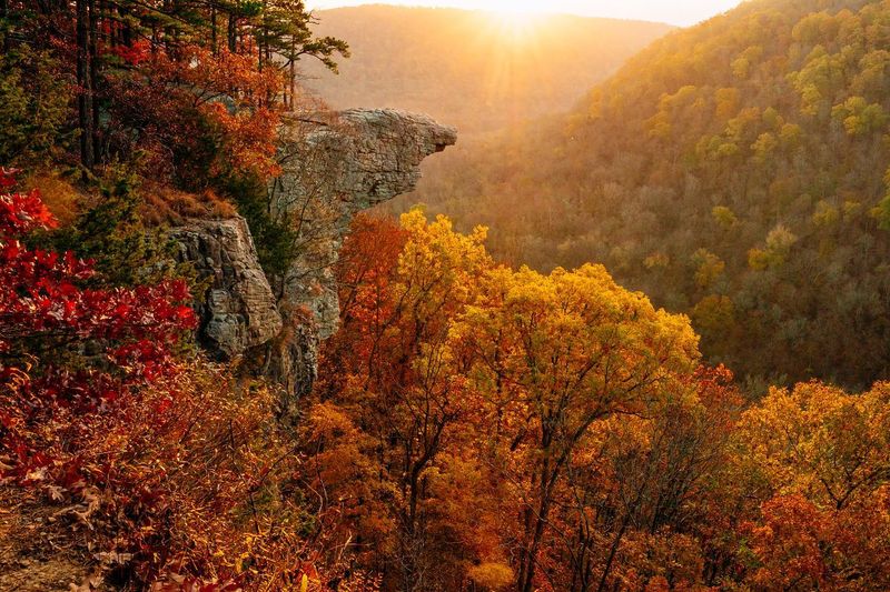 Arkansas – Whitaker Point (Hawksbill Crag)