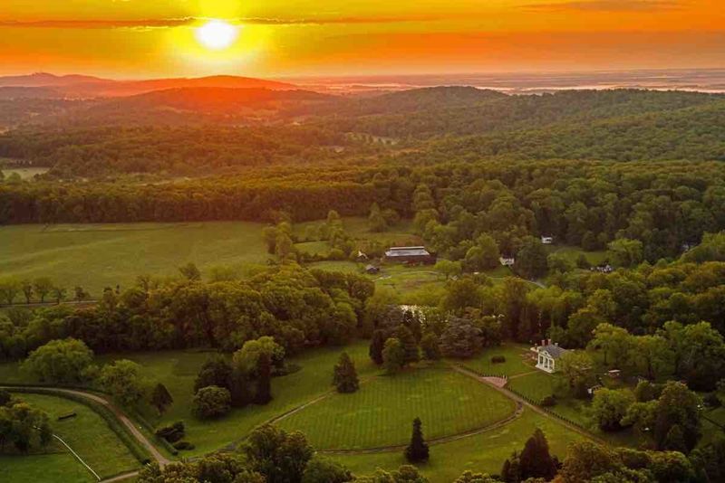 Ice Cream Shops in Orange, VA