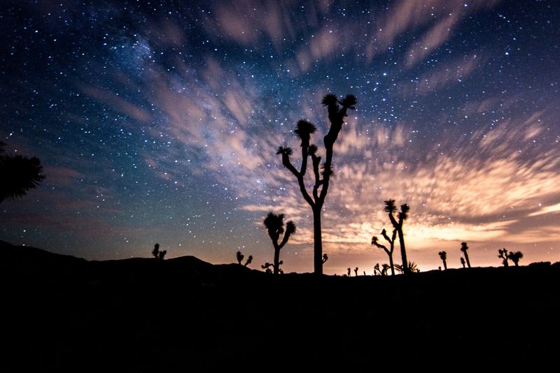 Joshua Tree National Park (California)