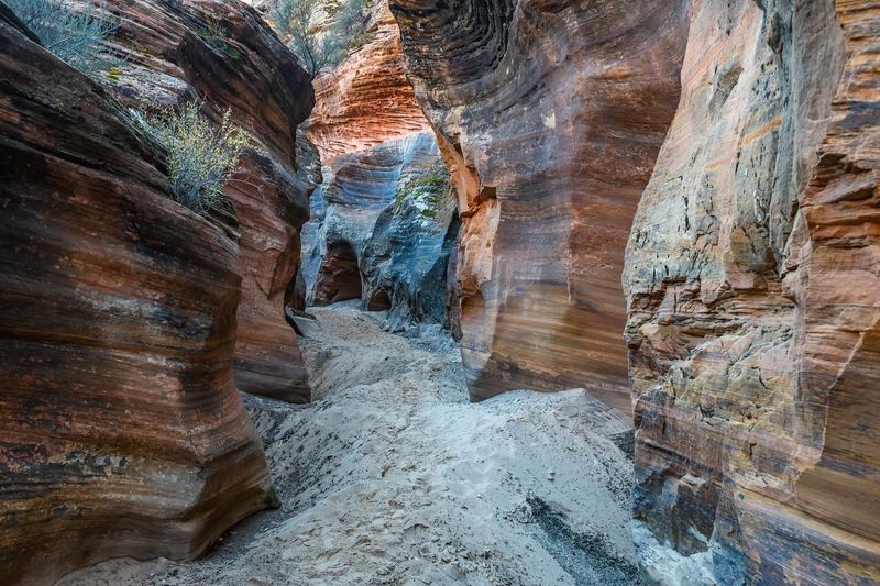 Zion's Slot Canyons and Emerald Pools Keep Drawing Me In