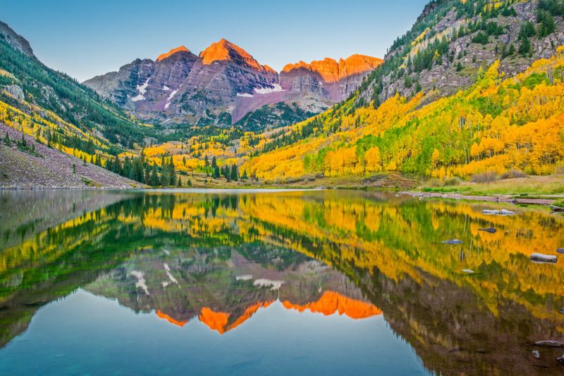 Aspen In Autumn, Colorado