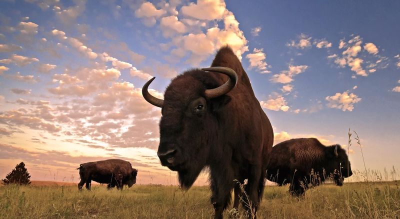 South Dakota's Hidden Treasures