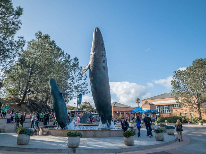 San Diego's Oceanfront Learning Paradise