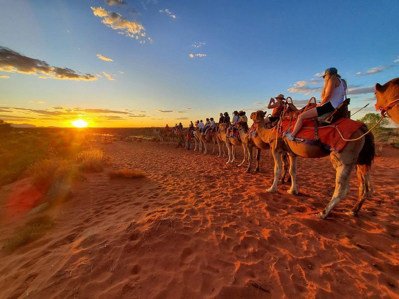 Camel Trekking Adventures Through The Red Centre