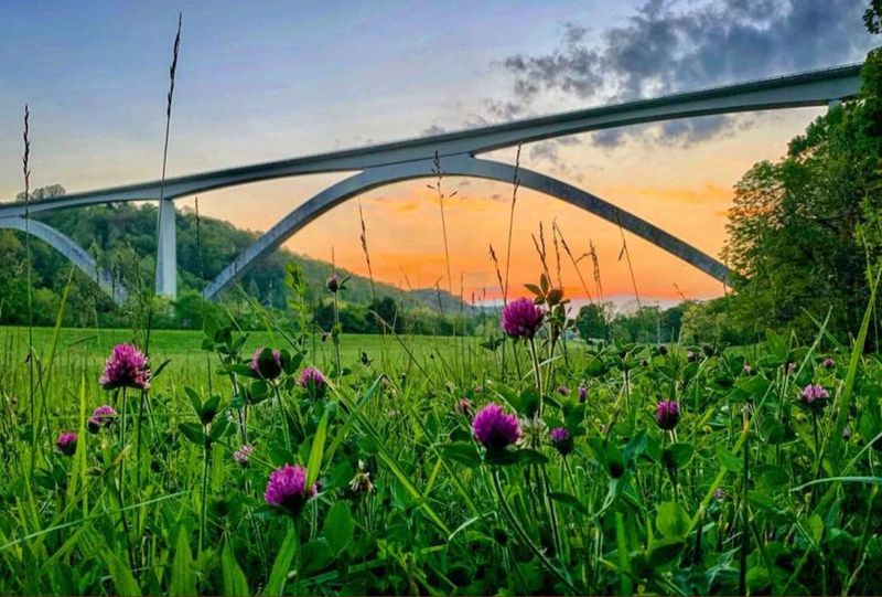 Natchez Trace Parkway