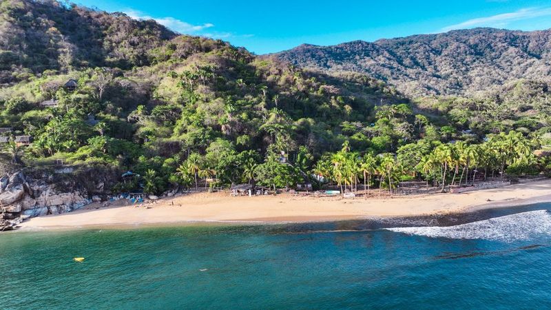 Sayulita Safety Concerns