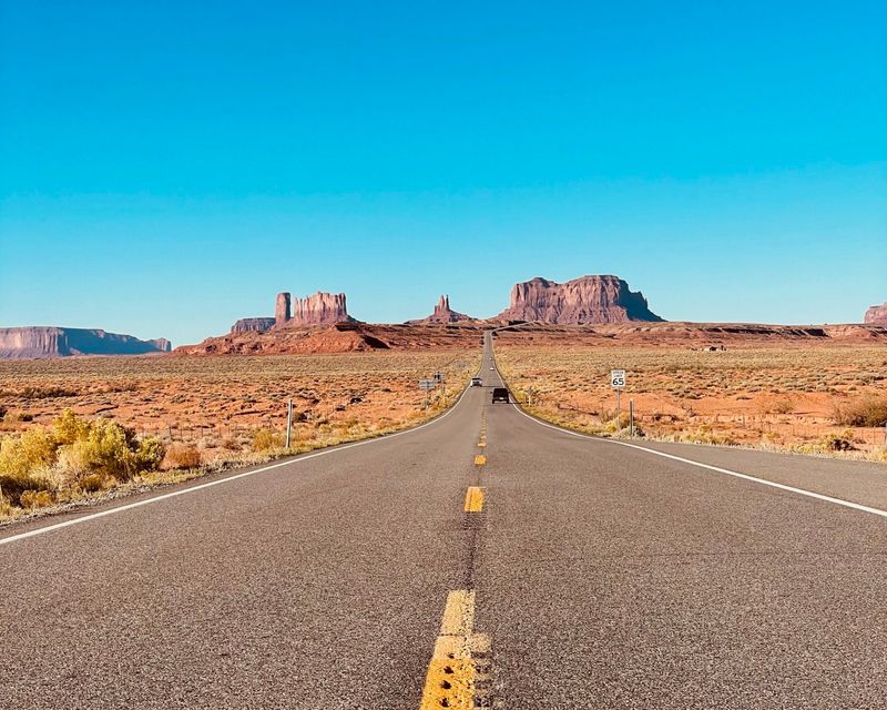 Southwest Desert Resilience