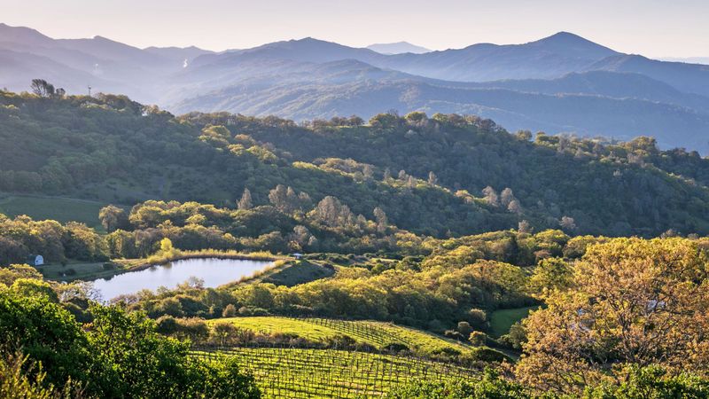 Healdsburg Wine Country