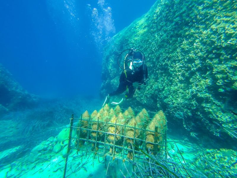 Underwater wine cellar experience