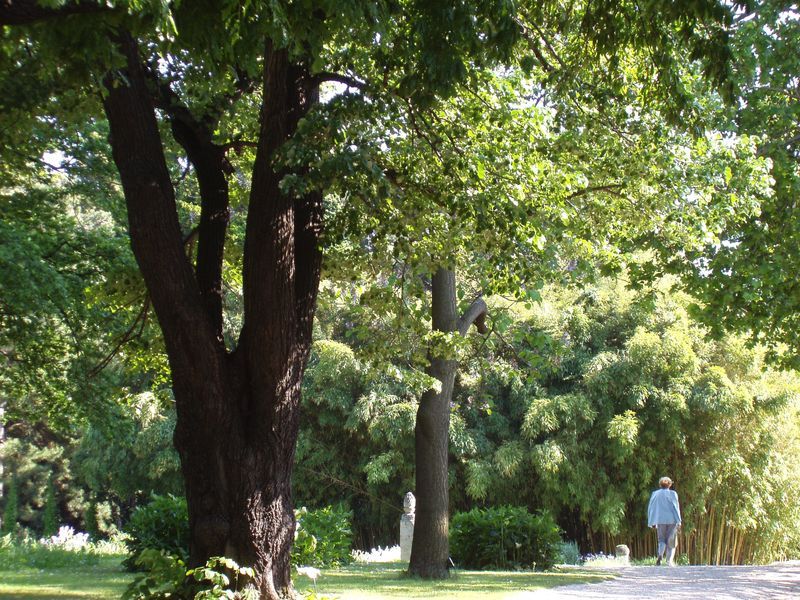 Botanical Gardens of the University of Vienna – Vienna, Austria