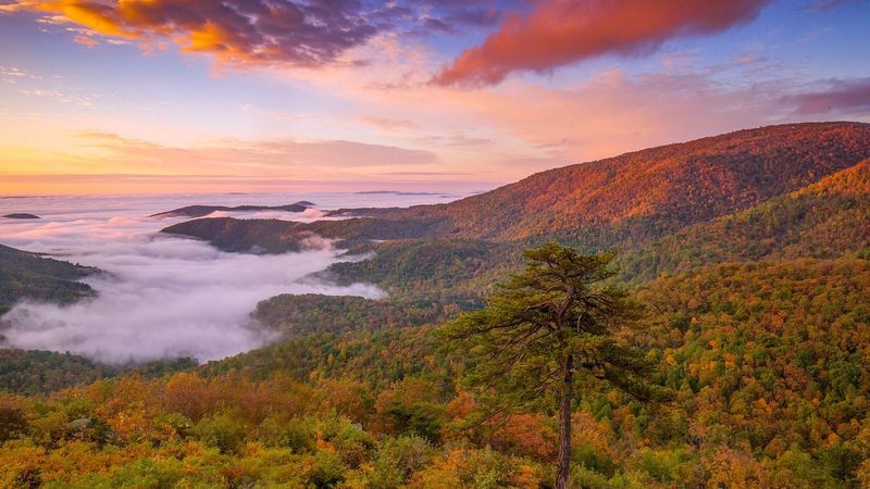 Shenandoah National Park, Virginia