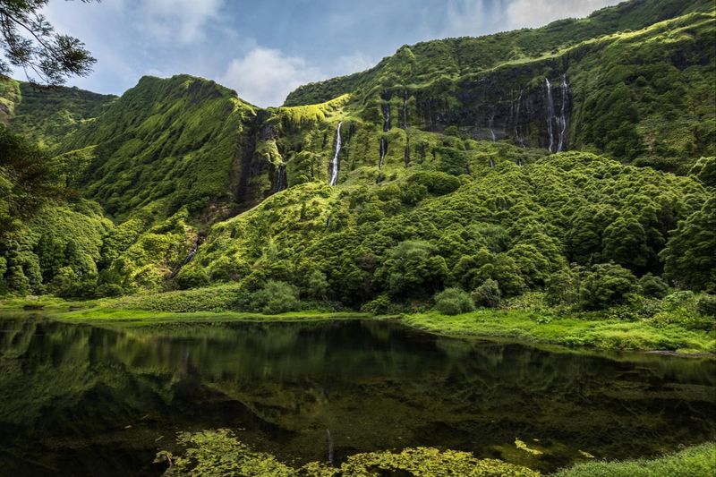 Flores Island Trails