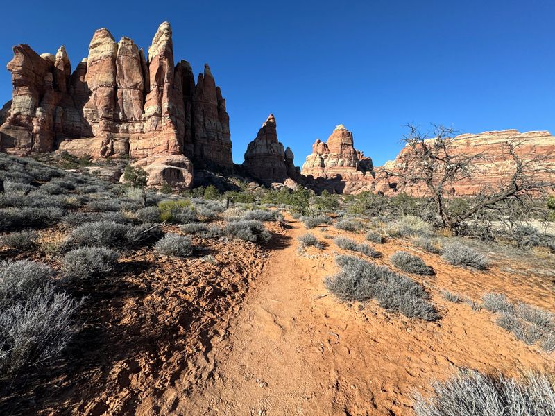 All Trails Are Well-Marked