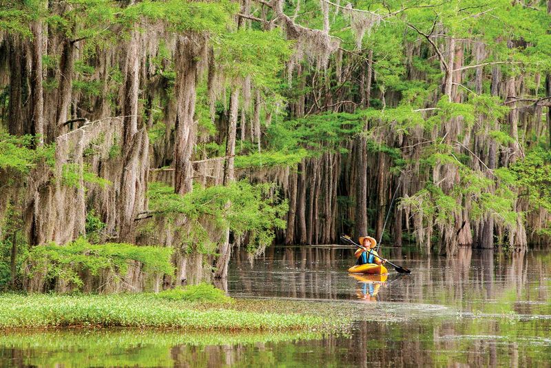 Caddo Lake Canoeing