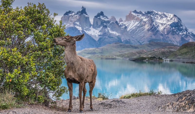 Torres Del Paine, Chile